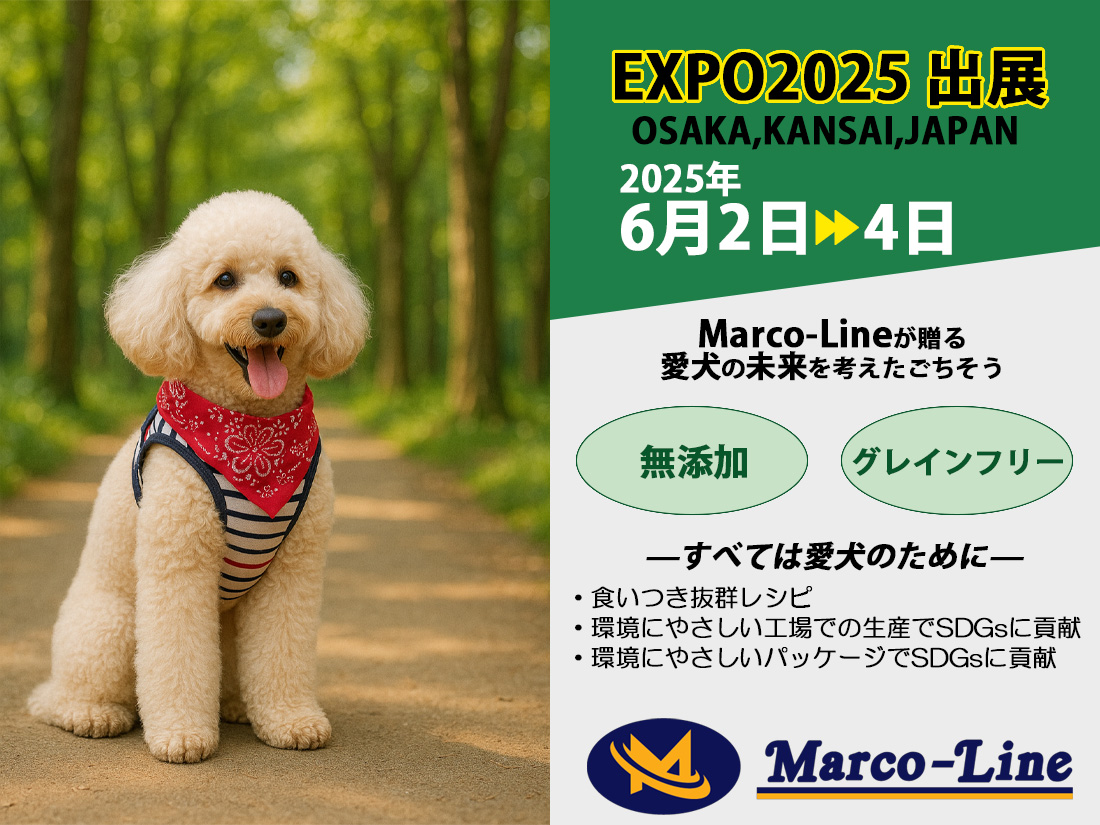 expo2025_bnr002.jpg