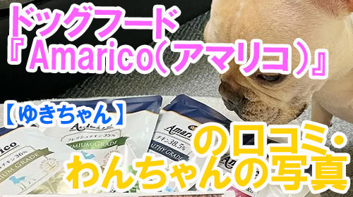【10-ゆきちゃん】ドッグフード『Amarico（アマリコ）』の口コミ・わんちゃんの写真