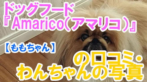 【5-太楽ちゃん】ドッグフード『Amarico（アマリコ）』の口コミ・わんちゃんの写真.