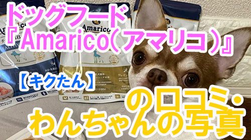 【7-キクたん】ドッグフード『Amarico（アマリコ）』の口コミ・わんちゃんの写真.