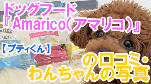 【8-プティくん】ドッグフード『Amarico（アマリコ）』の口コミ・わんちゃんの写真