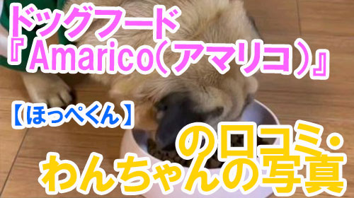 【ほっぺくん】ドッグフード『Amarico（アマリコ）』の口コミ・わんちゃんの写真.