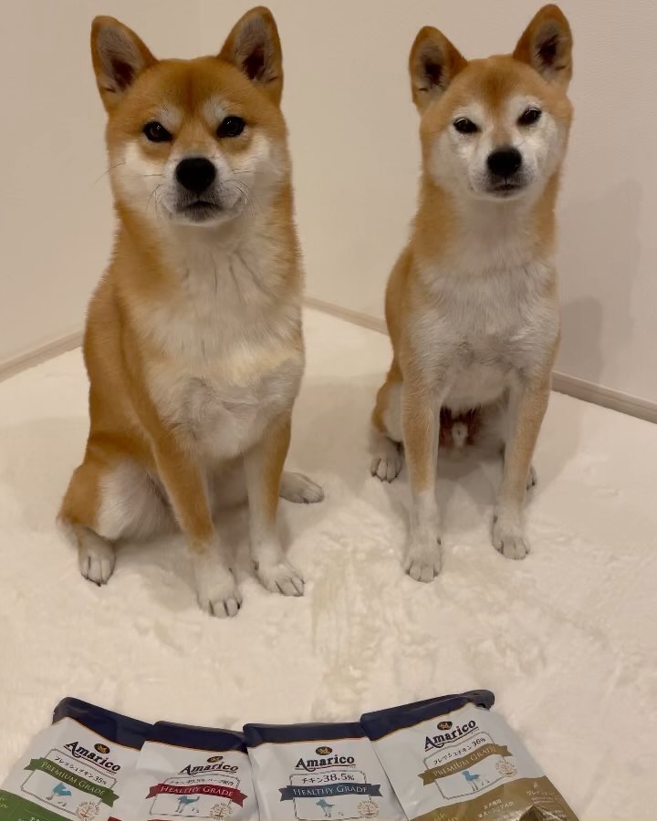2-わさびちゃんともずくちゃん.