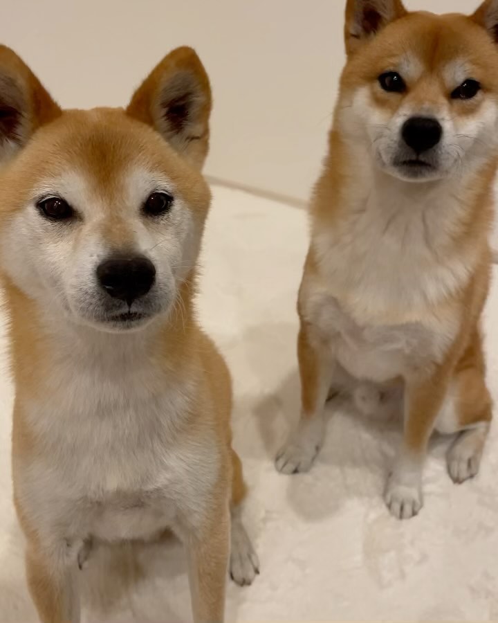 4-わさびちゃんともずくちゃん.