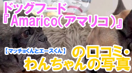 【13-マッチョくんとエースくん】ドッグフード『Amarico（アマリコ）』の口コミ・わんちゃんの写真.