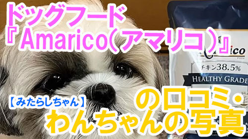 【16-みたらしちゃん】ドッグフード『Amarico（アマリコ）』の口コミ・わんちゃんの写真.