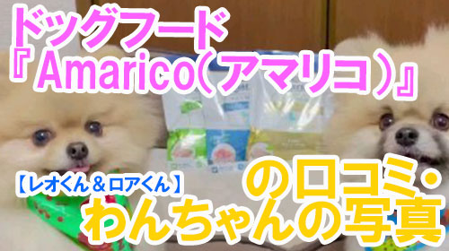 【17-レオくん＆ロアくん】ドッグフード『Amarico（アマリコ）』の口コミ・わんちゃんの写真.