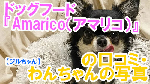 【18-ジルちゃん】ドッグフード『Amarico（アマリコ）』の口コミ・わんちゃんの写真.