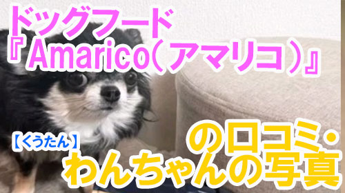 【20-くうたん】ドッグフード『Amarico（アマリコ）』の口コミ・わんちゃんの写真.