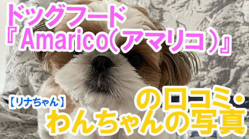 【22-リナちゃん】ドッグフード『Amarico（アマリコ）』の口コミ・わんちゃんの写真.