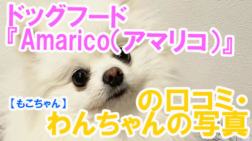 【23-もこちゃん】ドッグフード『Amarico（アマリコ）』の口コミ・わんちゃんの写真.