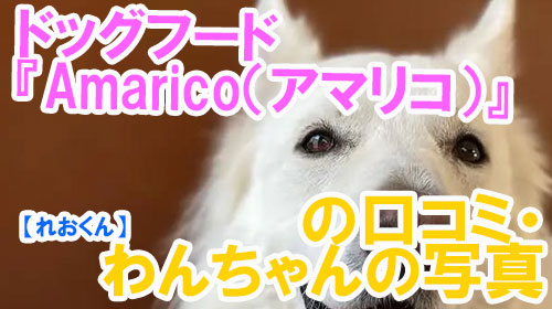 【27-れおくん】ドッグフード『Amarico（アマリコ）』の口コミ・わんちゃんの写真.
