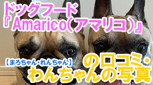 【28-まろちゃん・れんちゃん】ドッグフード『Amarico（アマリコ）』の口コミ・わんちゃんの写真.