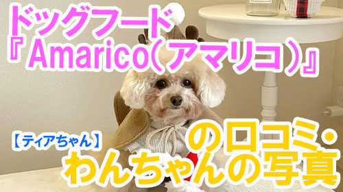 【29-ティアちゃん】ドッグフード『Amarico（アマリコ）』の口コミ・わんちゃんの写真.