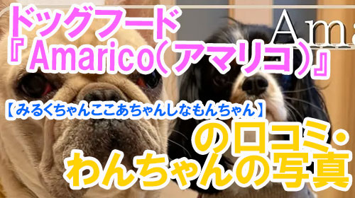【37-みるくちゃんここあちゃんしなもんちゃん】ドッグフード『Amarico（アマリコ）』の口コミ・わんちゃんの写真.