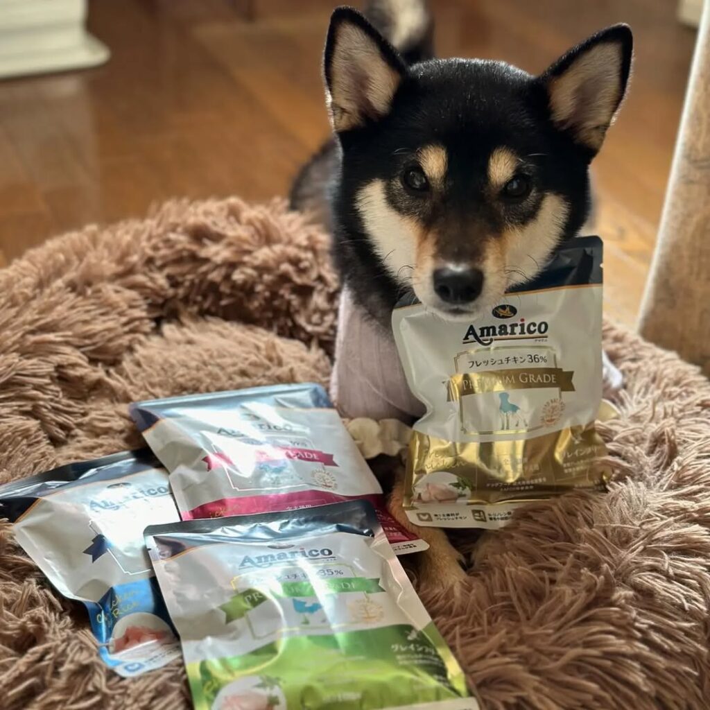 【チョコちゃん】.