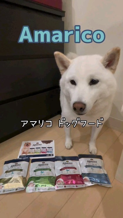 【吉ちゃん】写真.