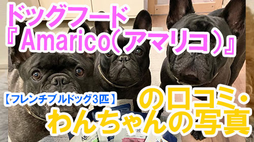 【フレンチブルドッグ3匹】ドッグフード『Amarico（アマリコ）』の口コミ・わんちゃんの写真.jpg