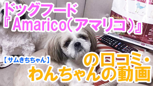 【SeaSun(シーサン)ちゃん】ドッグフード『Amarico（アマリコ）』の口コミ・わんちゃんの写真.