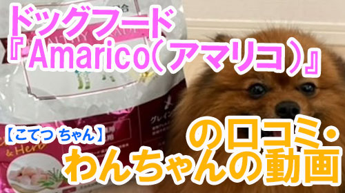 【こてつ-ちゃん】ドッグフード『Amarico（アマリコ）』の口コミ・わんちゃんの写真