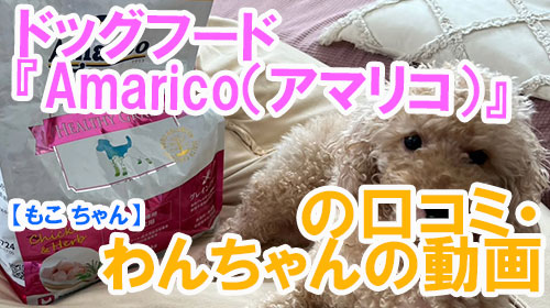 【もこ-ちゃん】ドッグフード『Amarico（アマリコ）』の口コミ・わんちゃんの写真.