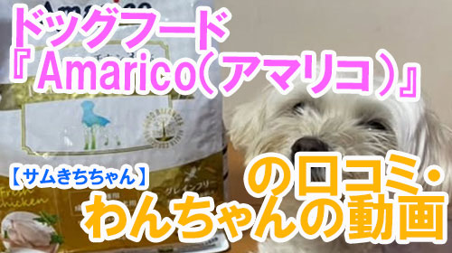 【サムきちちゃん】ドッグフード『Amarico（アマリコ）』の口コミ・わんちゃんの写真.