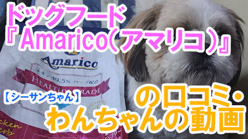 【シーサンちゃん】ドッグフード『Amarico（アマリコ）』の口コミ・わんちゃんの写真.jpg