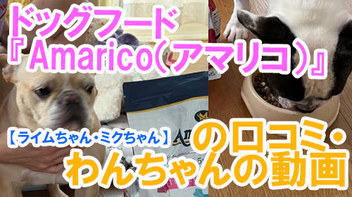 【ライムちゃん・ミクちゃん】ドッグフード『Amarico（アマリコ）』の口コミ・わんちゃんの写真.