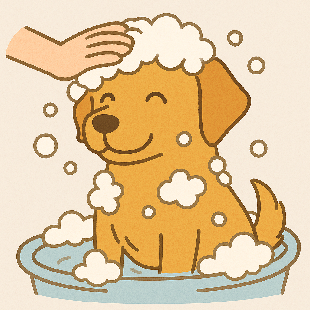 マラセチア皮膚炎に悩む愛犬へ