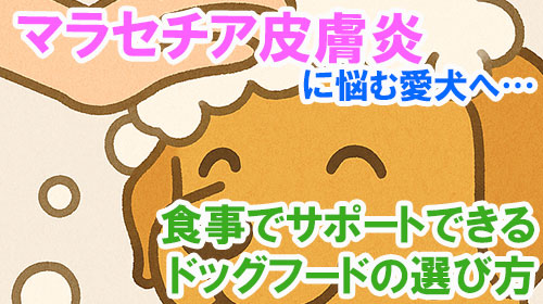 マラセチア皮膚炎に悩む愛犬へ…食事でサポートできるドッグフードの選び方.jpg