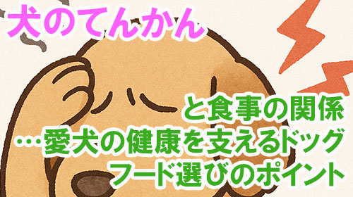 犬のてんかんと食事の関係…愛犬の健康を支えるドッグフード選びのポイント