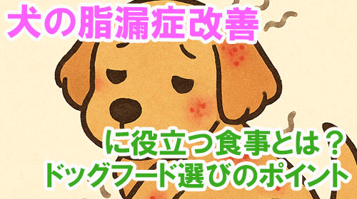 犬の脂漏症改善に役立つ食事とは？ドッグフード選びのポイント.