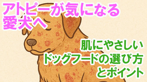 アトピーが気になる愛犬へ｜肌にやさしいドッグフードの選び方とポイント.jpg