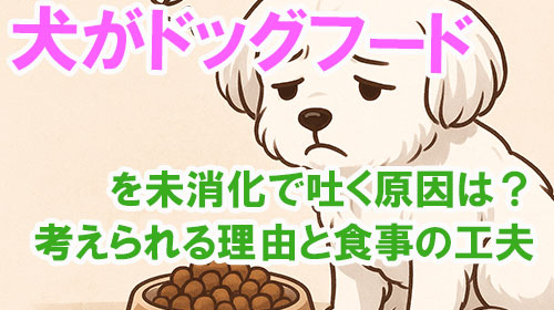 犬がドッグフードを未消化で吐く原因は？考えられる理由と食事の工夫.