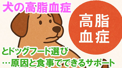 犬の高脂血症とドッグフード選び…原因と食事でできるサポート.jpg