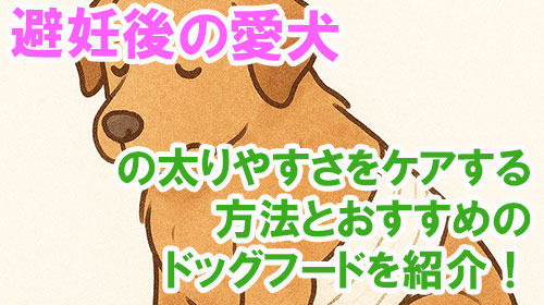 避妊後の愛犬の太りやすさをケアする方法とおすすめのドッグフードを紹介！.jpg